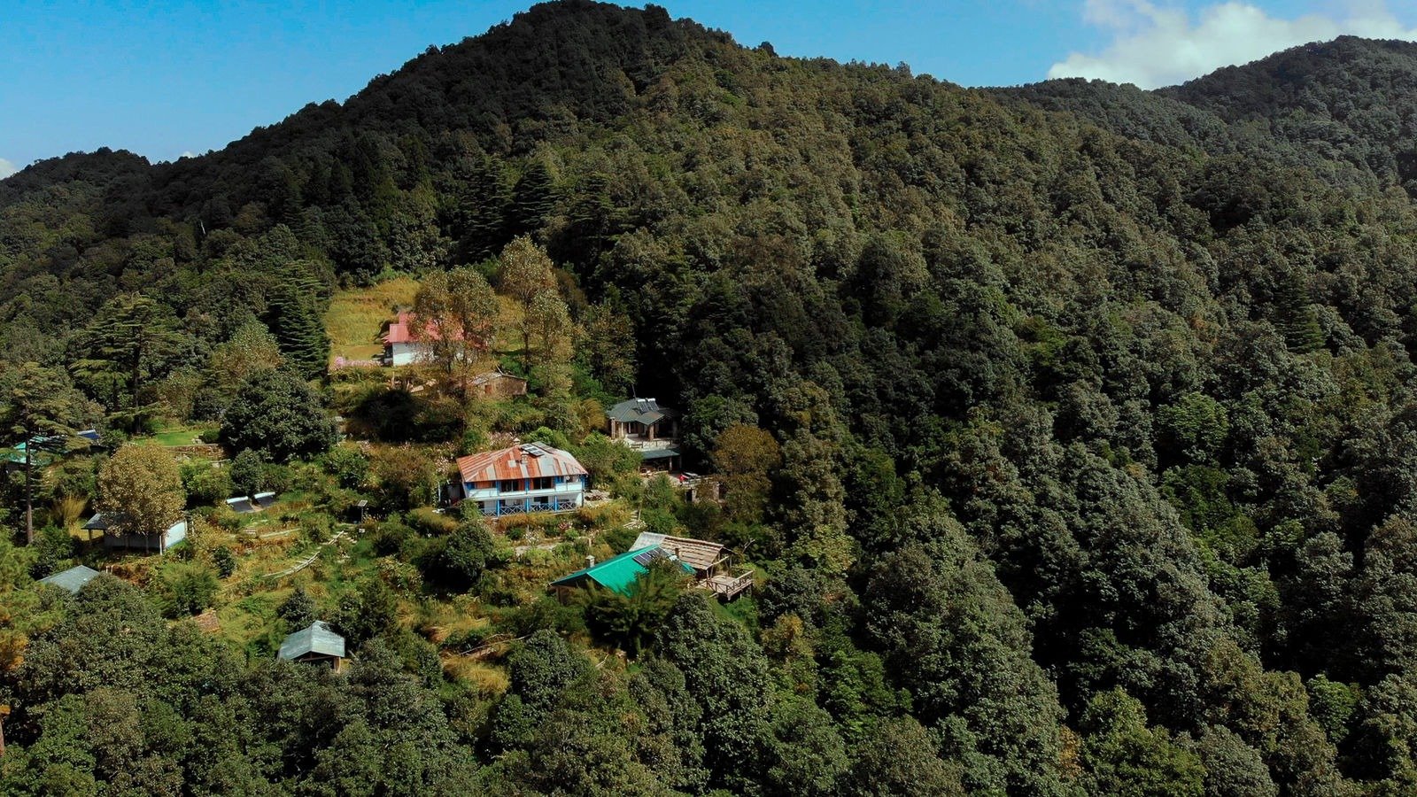 Binsar